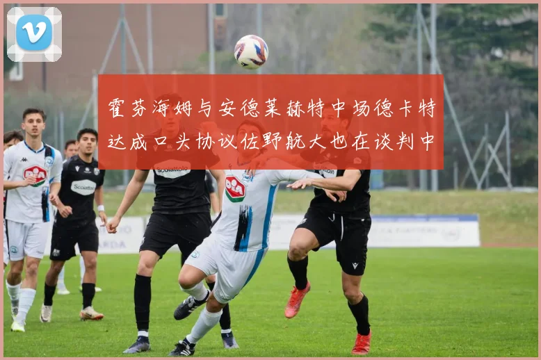 霍芬海姆与安德莱赫特中场德卡特达成口头协议佐野航大也在谈判中